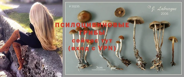 метадон Магас
