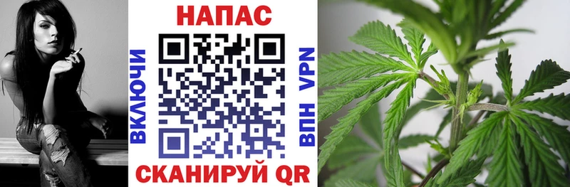 Купить где  Коряжма  МАРИХУАНА гибрид 